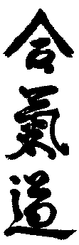Japanischer Schriftzug - Ai Ki Do